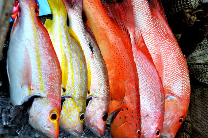 Fish grill option