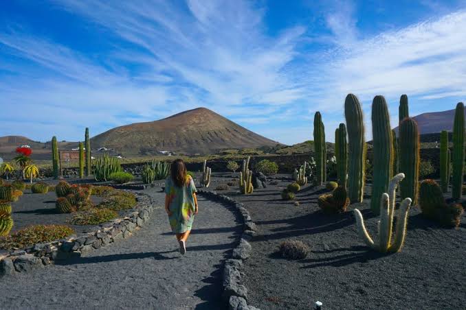 Discover Lanzarote